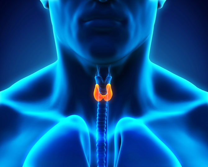 Thyroidectomy Medicus Medical Center